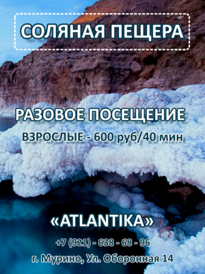 Разовое посещение ВЗРОСЛЫЕ